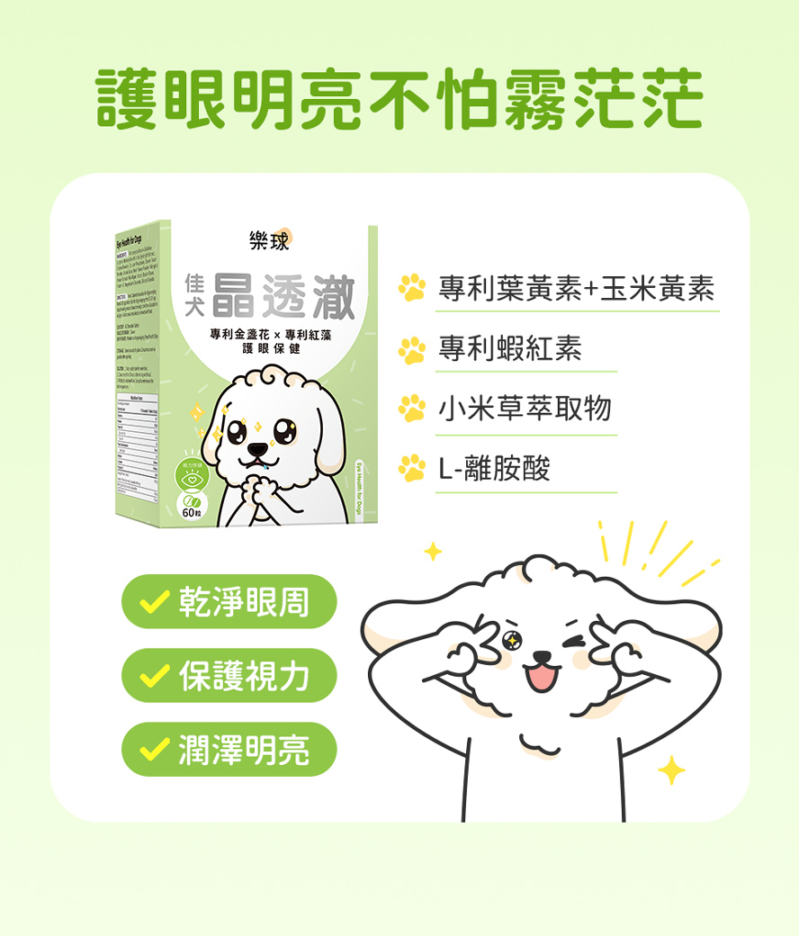 狗狗明亮眼睛，都吃樂球佳犬晶透澈。